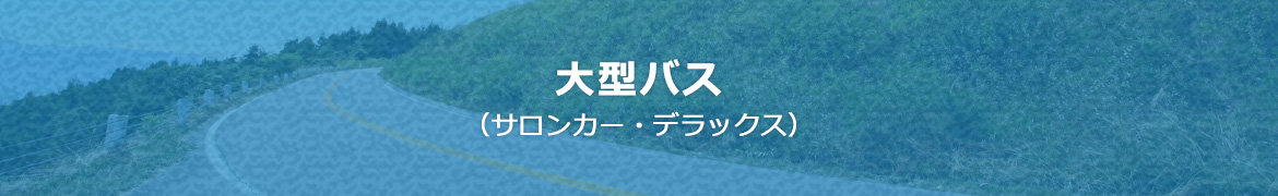 大型バス（サロンカー・デラックス）