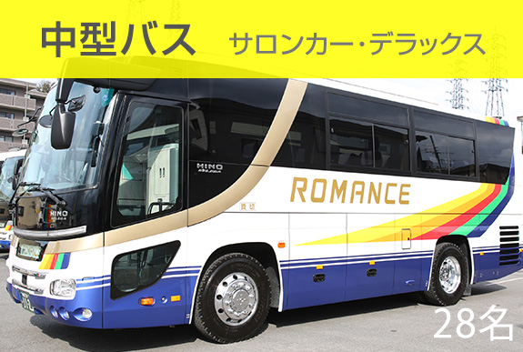 中型バス(サロンカー・デラックス)